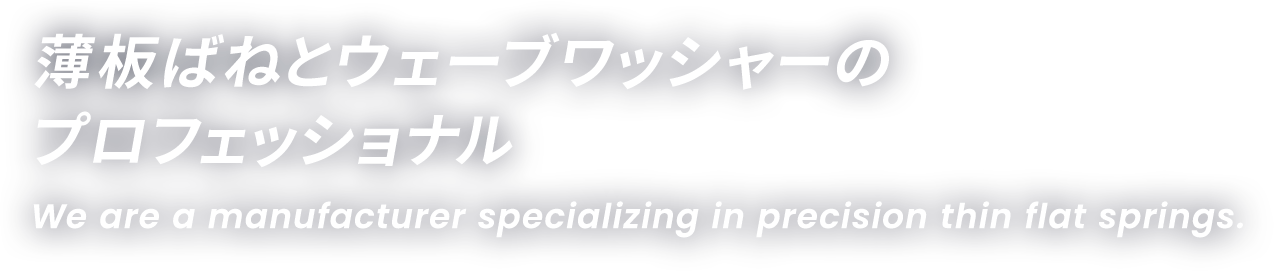 薄板ばねとウェーブワッシャーの プロフェッショナル We are a manufacturer specializing in precision thin flat springs.