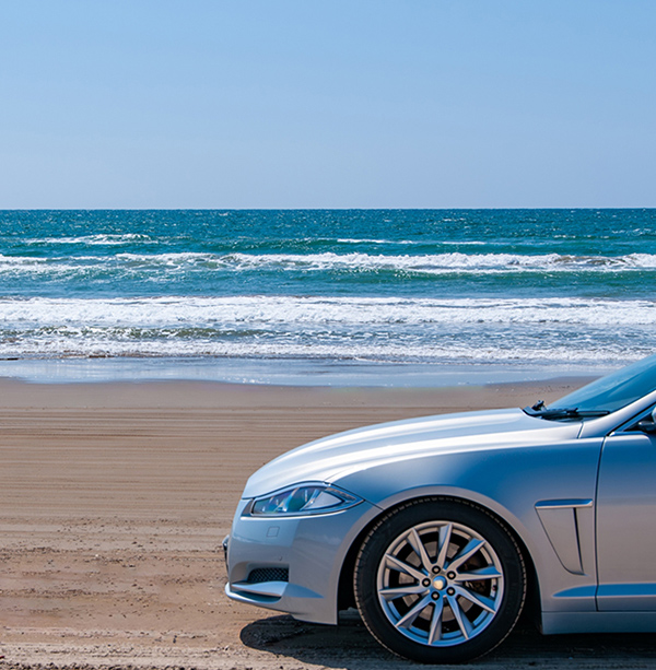 特発三協の薄型ばねが支える世界